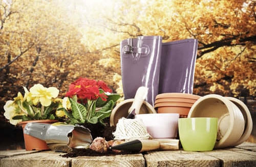 Projektowanie ogrodów - Ogrodowa Pracownia Agnieszka Szczepanik