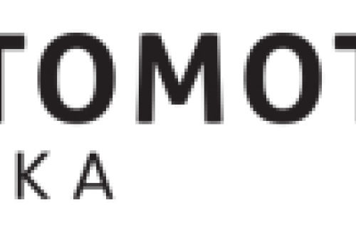 AUTOMOTIVE PARTS POLSKA SPÓŁKA Z OGRANICZONĄ ODPOWIEDZIALNOŚCIĄ