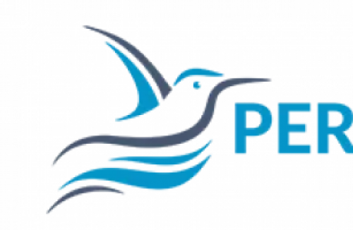 Perkoz