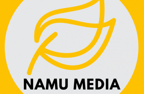 NAMU MEDIA SPÓŁKA Z OGRANICZONĄ ODPOWIEDZIALNOŚCIĄ