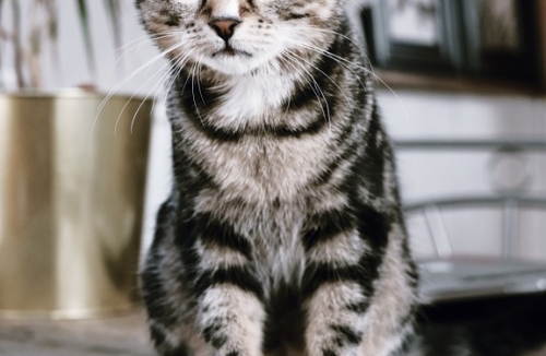 SEW-MAR Seweryn Pobudkiewicz