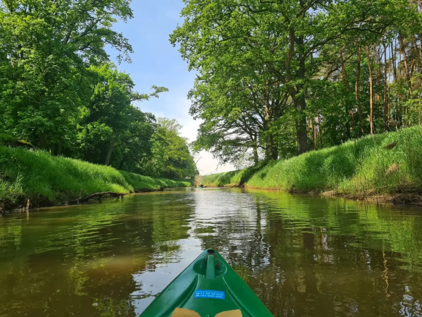 Spływy kajakowe na Baryczy – odkryj Dolinę Baryczy z kajakimilicz.eu
